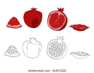 Pomegranate. Hand drawn vector elements. Fruits. Vitamins. Colorful vector background. Healthy food. 