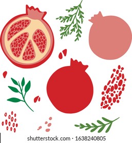 Pomegranate Hand drawn Vector illustration. Pomegranate whole fruit and half sliced.