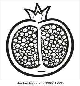 Pomegranate. Hand drawn vector illustration.