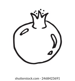 Pomegranate hand drawn vector illustration on isolated white background