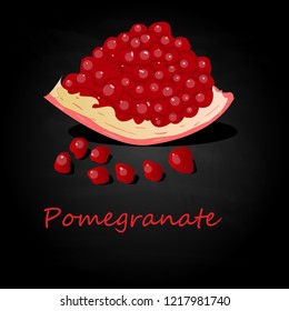 Pomegranate hand drown vector illustration isolated on black background.