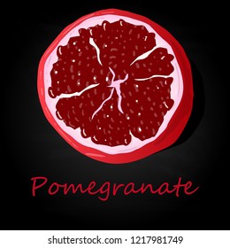 Pomegranate hand drown vector illustration isolated on black background.