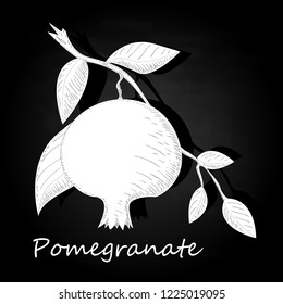Pomegranate hand drown vector illustration isolated on black background. Monochrome.