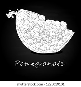 Pomegranate hand drown vector illustration isolated on black background. Monochrome.
