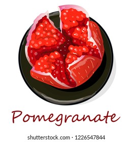 Pomegranate hand drown vector illustration isolated on white background.
