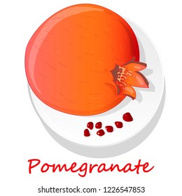 Pomegranate hand drown vector illustration isolated on white background.