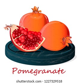 Pomegranate hand drown vector illustration isolated on white background.