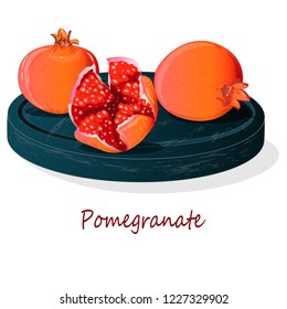Pomegranate hand drown vector illustration isolated on white background.