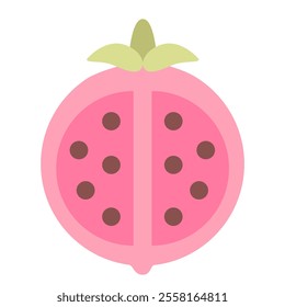 Pomegranate icon elements Fruit isolate illustration vector