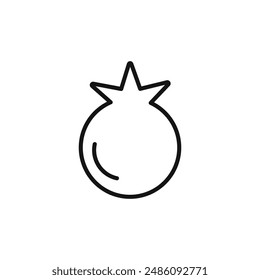 pomegranate icon logo sign vector outline