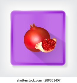 Pomegranate. Icon with long shadow. EPS10 vector