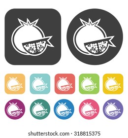 pomegranate icon set. Vector Illustration eps10
