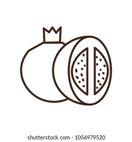 pomegranate icon vector