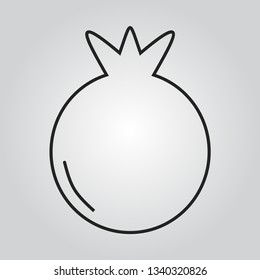 pomegranate icon vector