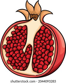 Pomegranate icon vector flat design