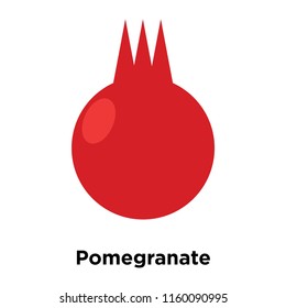 Pomegranate icon vector isolated on white background, Pomegranate transparent sign