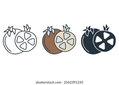 Pomegranate icons  symbol vector elements for infographic web