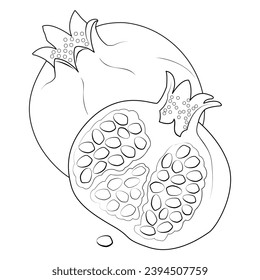 Pomegranate Illustration. Coloring page. Line Art.