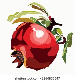 Pomegranate illustration in a decorative manner for your designs