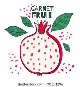 Pomegranate illustration. Garnet icon. Hand draw vector