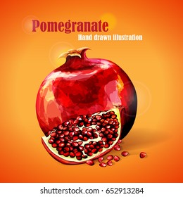 Pomegranate illustration. Hand drawn. Vector - stock.
