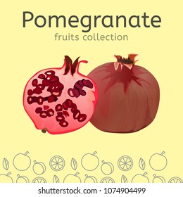 The pomegranate image isolated on a light background. Fruits collection. Editable vector illustration.