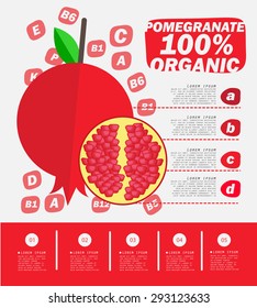 Pomegranate Infographics , fruit , vector illustration