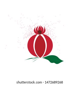 pomegranate isolated icon, Vector illustration, Vector