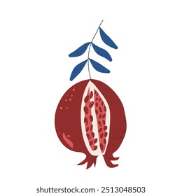 Pomegranate isolated on white background. Ripe cracked fruit and leaves. Vector hand drawn illustration