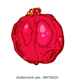 Pomegranate isolated on white background. Fruit.