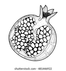 Pomegranate Isolated on a white background. Pomegranate zen art. Hand-drawn, doodle, vector, zentangle. Black and white. Made by trace from sketch. Coloring book page for adult. Garnet fruit.