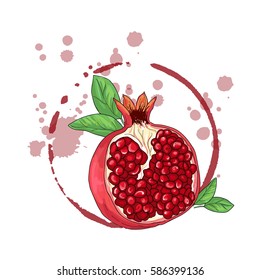 Pomegranate isolated on a white background. Vector illustration.
