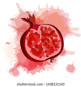 Pomegranate isolated. Red garnet vector illustration. Vector illustration of pomegranate fruit. Garnet vector.