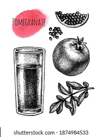 Pomegranate juice in glass. Fruits, seeds and branch. Ink sketch isolated on white background. Hand drawn vector illustration. Retro style.