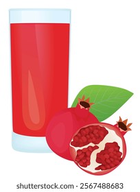 Pomegranate juice in glass. vector