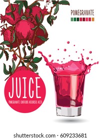 pomegranate juice,tree,vector,design