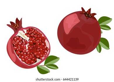 pomegranate . juicy ripe fruit in cross section.  color vector illustration.