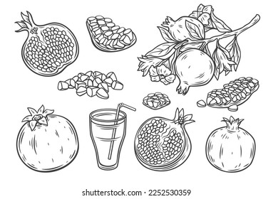 Pomegranate line icons set vector illustration. Hand drawn outline whole garnet fruit, cut in half and pieces for eating, slices and wedges for juice, pomegranate tree branch with leaves and flowers