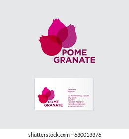 Pomegranate logo. Pomegranate emblem, identity. Three transparent grenades and an inscription against a light background. Business card.