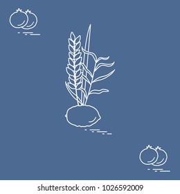 Pomegranate and Lulav - symbolic attribute of the holiday of Sukkot. Jewish traditions and symbols. Design for postcard, banner, poster or print.