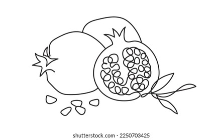Pomegranate. Modern single line art drawing. Happy Shana tova continuous line draw design vector illustration