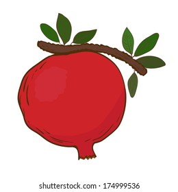 Pomegranate on branch in vector