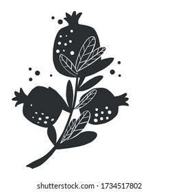 pomegranate on a branch, vector illustration