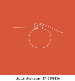 pomegranate on isolated background, one line art vector illustration. Design element.
