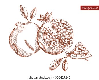 Pomegranate on a neutral background