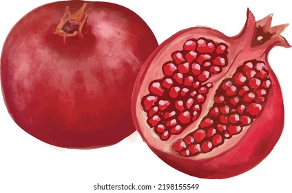 Pomegranate on a white background