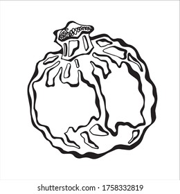 Granatapfel auf weißem Hintergrund. Vektorgrafik für Drucke für Kleidung, Grußkarten und Embleme.