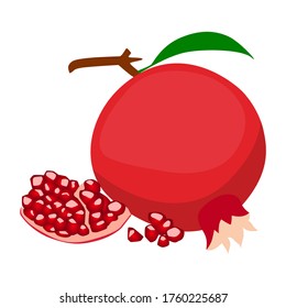 granada de fondo blanco. Ilustración del vector