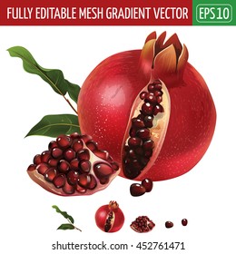 Pomegranate on white background. Vector illustration