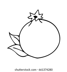 Pomegranate on white background vector illustration. Doodle style. Design icon, print, logo, poster, symbol, decor, textile, paper, card. 